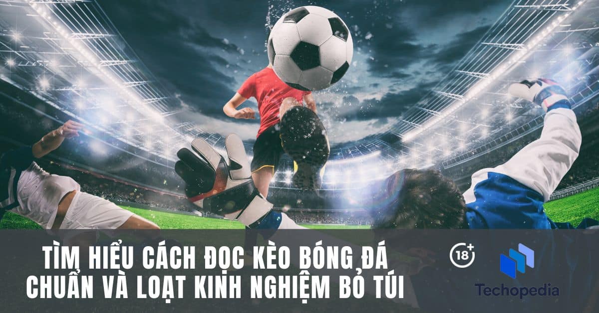 Hướng dẫn đọc kèo bóng đá dễ hiểu cho người mới bắt đầu